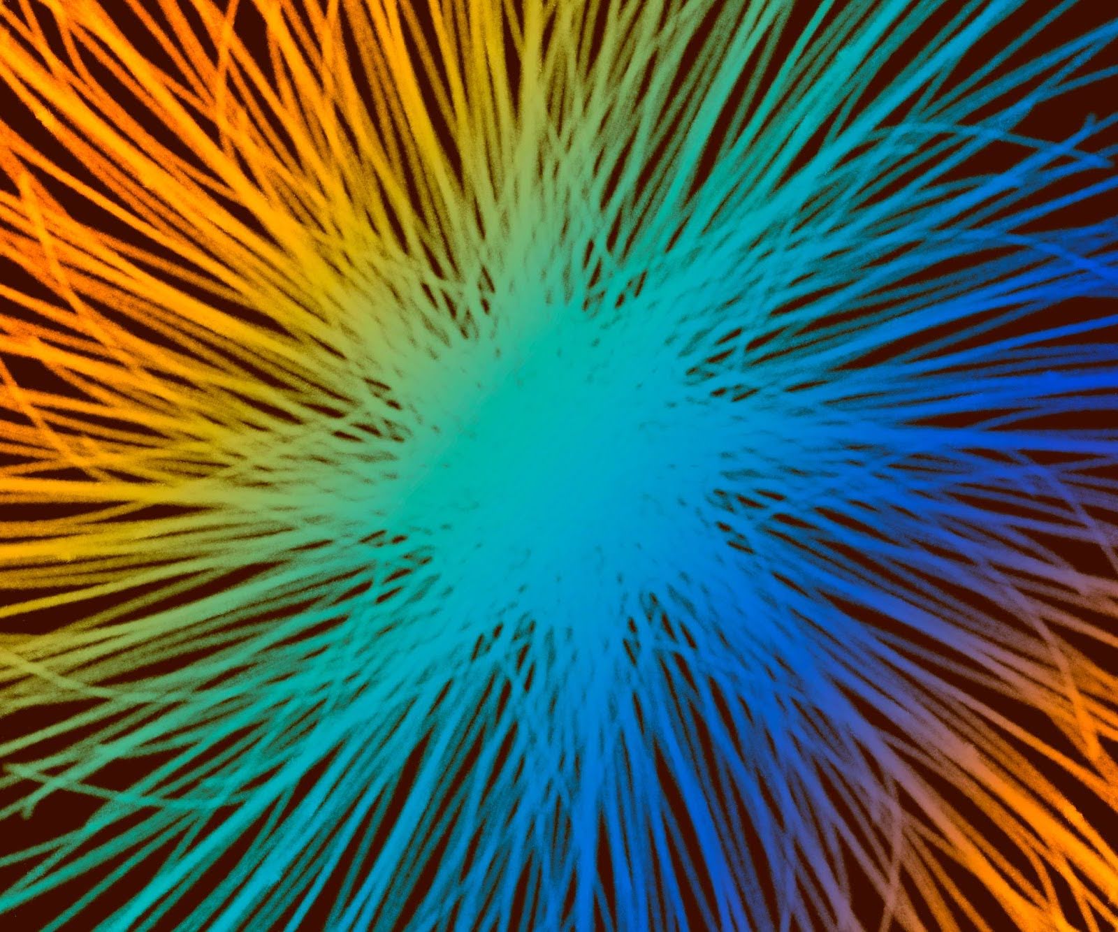 Multimedia-5_a.jpg