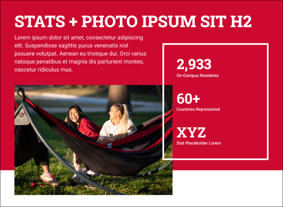 pattern-stats-photo.png