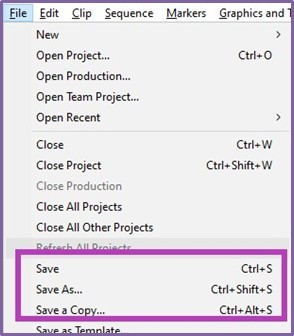 The file menu, highlighting the location of Save, Save As, and Save a Copy.