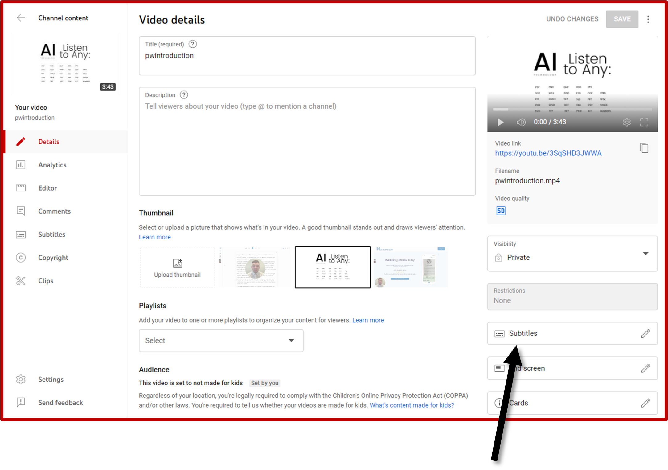 Video Details workspace with an arrow pointing to the Subtitles button.