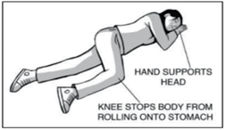 Narcan P4.png