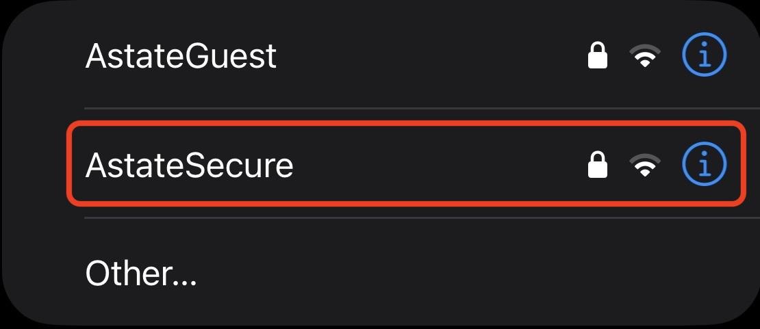iPhone network options.jpeg