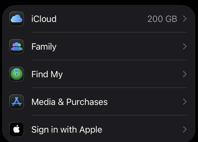 iPhone Profile Options.png