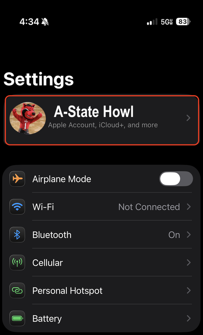 iPhone Settings menu.png