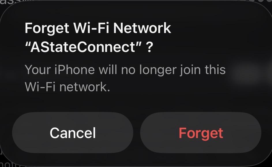 iOS Forget Network confirm.jpeg