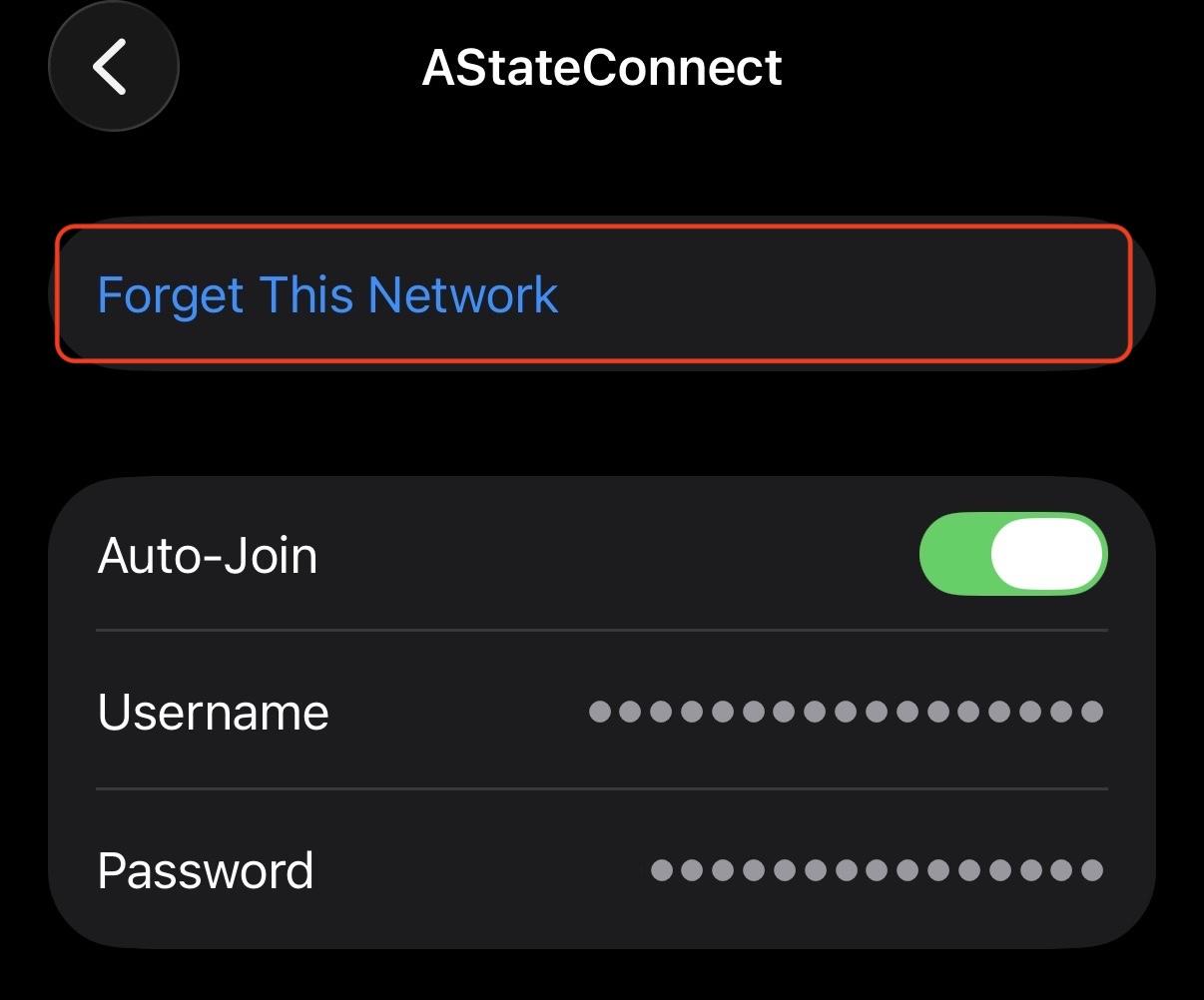 iOS Wifi Forget Network.jpeg